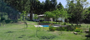 Los Agapantos
